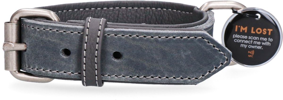 Collare in pelle – Collare per cani con pin QR – Collare con chiusura magnetica – Impermeabile – Taglia XXL – 65 cm – Grigio