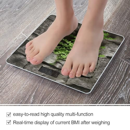 Báscula Digital de Baño Plant on Stone Wall con Pantalla Grande miniatura 5