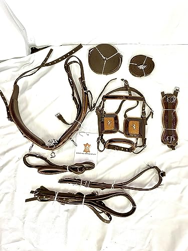 Designer Patchwork | Nylon Horse Driving Harness with Brown Synthetic Patent on The Saddle and Bridle and Golden Horse Statue Studs on The blinkers | Brown Color | (Mini)