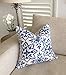 Ol322ay Housse de coussin en porcelaine Bleu et Blanc Hamptons Style Oreillers Décoratifs Coastal