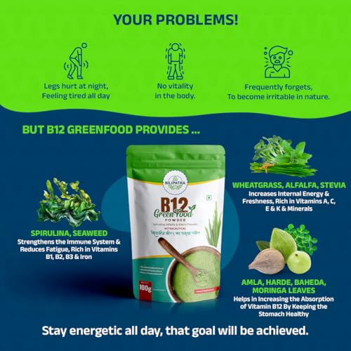 Image of B12 Green Food Powder,100g | Plant Based Vitamin B12 Supplement (B12GreenFood Powder) | Vitamin B1, B2, B3, B6, B9,C & A | Boost Energy Level, Good For Digestion & Stress, For Men & Women