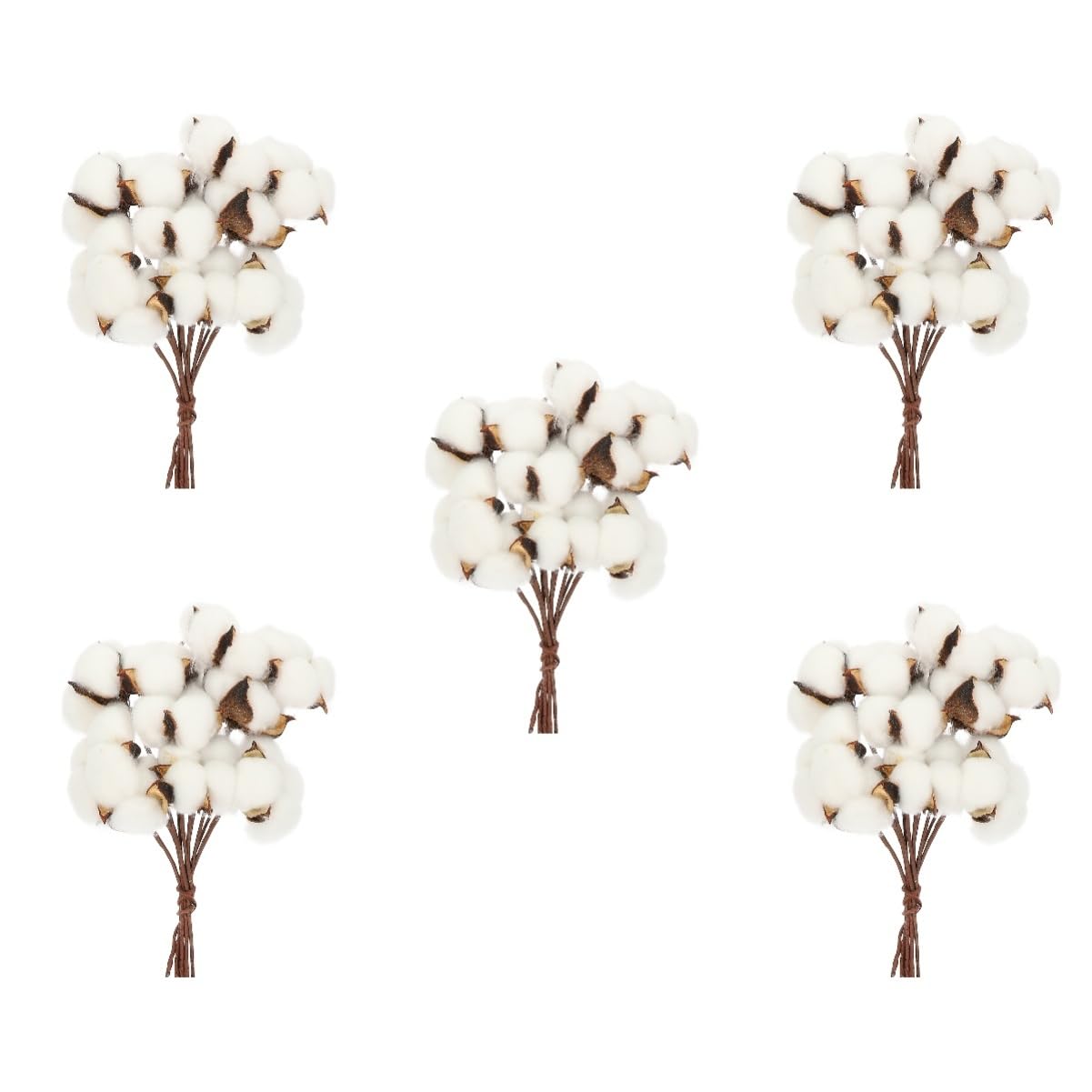 Cabilock 5 Ensembles Bouquet Coton Sec Fausses Fleurs en Mousse Tiges De Coton Séchées Fleur De Remplissage D'affichage Tiges Séchées Branche De Coton Coton Naturel