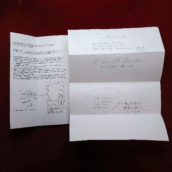 恐竜絶滅！小惑星のかけら K-T境界層 標本 【公式通販】