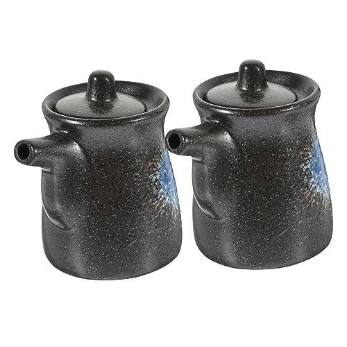 HOLIDYOYO 2Pcs Ceramic Sushi Sauce Dispenser Japanese Style Vinegar and Soy Sauce Bottles Kitchen Condiment Containers for Oil and Hot Sauce Storage Elegant Design for Home