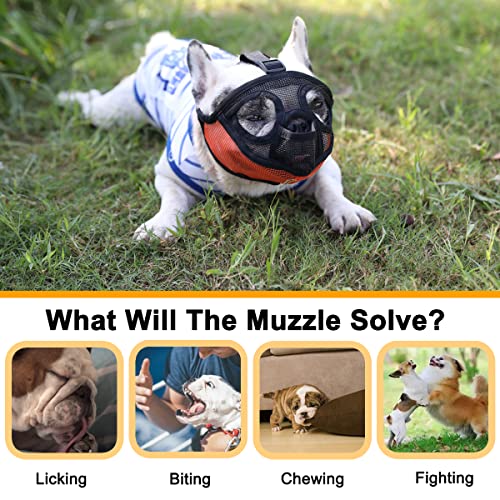 French Bulldog Muzzle, Short Snout Dog Muzzle For Shih Tzu English Bulldog, Mesh Dog Muzzle With Tongue Out Design, Flat Face Dog Muzzle For Biting Chewing Grooming #TOP5