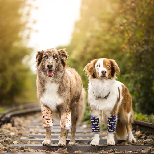 2 Stück Ellenbogenbandage Hund, liegeschwielen Hundebody Nach Op, Kniebandage Hund Hinterbein, Pfotenschutz Hund, Mittelgroße und Große Hunde Chirurgie Erholung Recovery Sleeve für Vorderbeine (2XL)