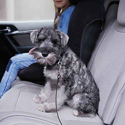 Yucool Auto-Sicherheitsgurt, kaufest, für kleine, mittelgroße und große Hunde, silberfarben