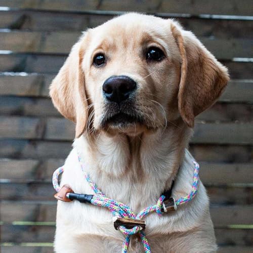 Retriever-Leine/Moxonleine Sporty-Style | robuste Hundeleine aus Tau mit Klemme & Halsbandfunktion | 6mm – besonders griffig & wetterfest | Training, Alltag & Dummyarbeit