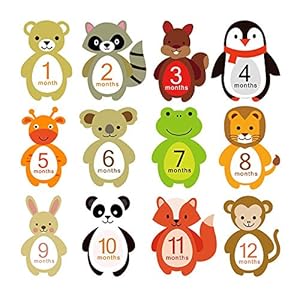 Baby maandelijkse mijlpaal Stickers Pasgeboren Eerste Jaar Fotografie Prop Groei Record