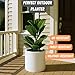 Fox & Fern Large 12 Inch Plant Pot with Hidden Saucer — Premium Lightweight Fiberstone Matte White Self Watering Planter with Seamless Saucer; Indoor & Outdoor Use; Weather Resistant & UV Resistant