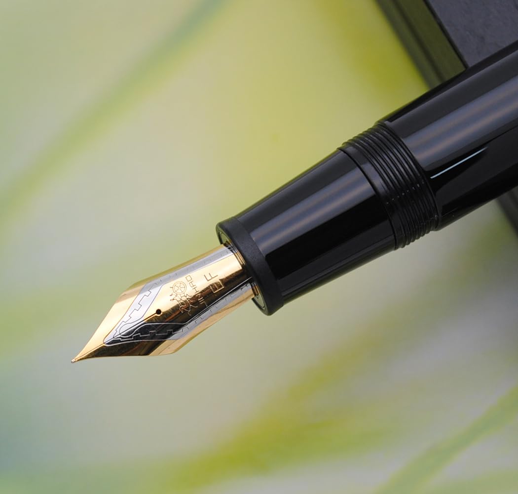 JINHAO DADAO 9019 Fountain Pen Acrylic Ink Pen with Ink Converter (Extra Fine Nib, Black) - Image 2