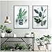 Produktbild NIEMENGZHEN Druck auf Leinwand Pflanze Topf Poster Drucken Green Leaf Leinwand Gemälde Bild Gang Startseite -50x70cm Kein Rahmen