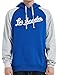 DELUSPTOMAY Mens Los Angeles Baseball Team Big Embroidery Hooded Sweatshirt Pullover Casual Hoodie Blue M