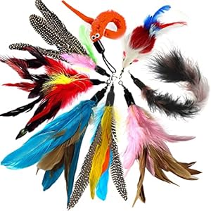 8 Stück Katzenspielzeug Feder, Katzenangel Ersatzfedern Anhänger Federn Katzen Spielzeug für Katze