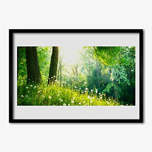 Affiche encadrée 70x50 cm plante nature meadow Tulup pour salon