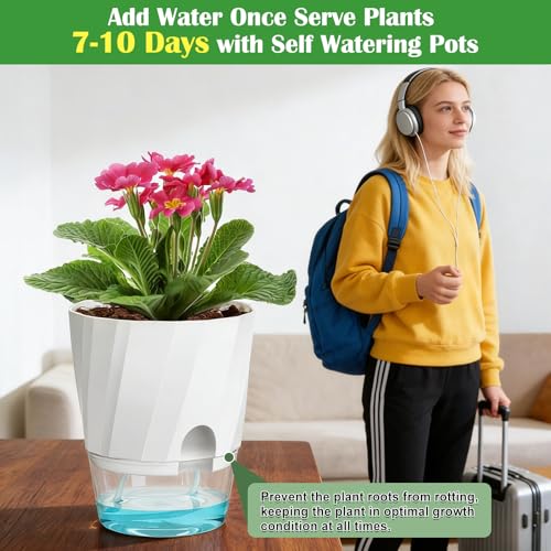 KIMCHOMERSE Self Watering Plant Pots, 6 Inch Plant Pots White, 3 Pack Flowers Pot Indoor Planter Pots with Tray for Spider Plant, Orchid, African Violet by KIMCHOMERSE - Image 6