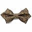 Cocoa Brown Darlene Paisley