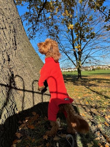 pet wiz Warmes Vierbeiner-Fleece für Hunde – Superweich, wetterfest, in verschiedenen Größen und Farben erhältlich (Koralle, Klein)