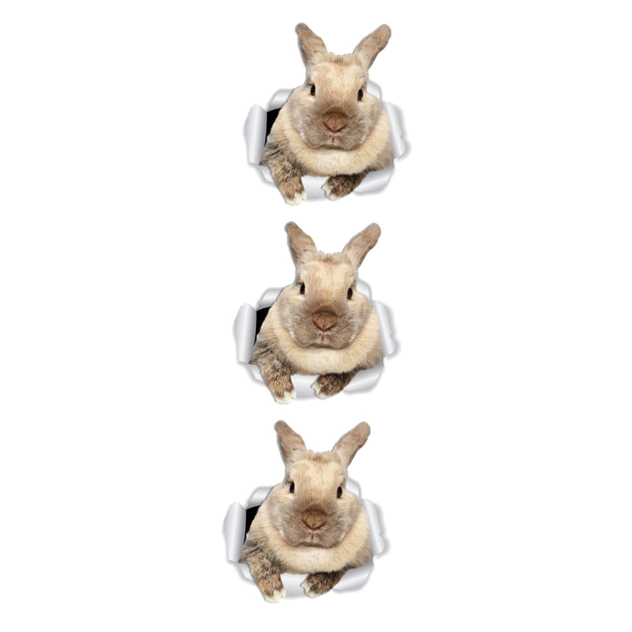 Stickers muraux lapin réalistes pour créer un coin nature poétique dans le salon