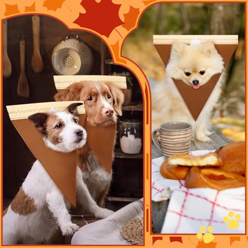 Disfraz para perro y gato Calabaza Talla S miniatura 6