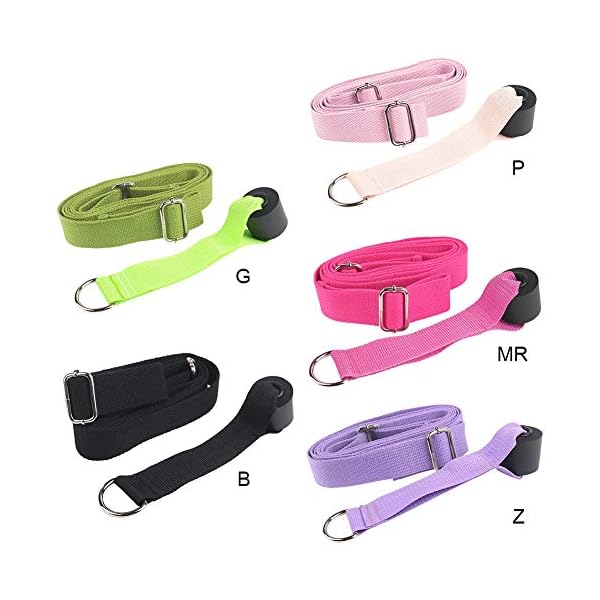 TJK-10-feet-Leg-Stretcher-Strap-on-Door-Flexibility-Splits-Trainer-Portable-Stretching-Equipment-Band-for-Ballet-Dance-and-Gymnastics TJK 10-feet Leg Stretcher Strap on Door, Flexibility Splits Trainer Portable Stretching Equipment Band for Ballet, Dance and Gymnastics