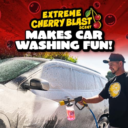 Image of Chemical Guys CWS 101 16 Maxi-Suds II Foaming Car Wash Soap (Works with Foam Cannons, Foam Guns or Bucket Washes) Safe for Cars, Trucks, Motorcycles, RVs & More, 16 fl oz, Cherry Scent