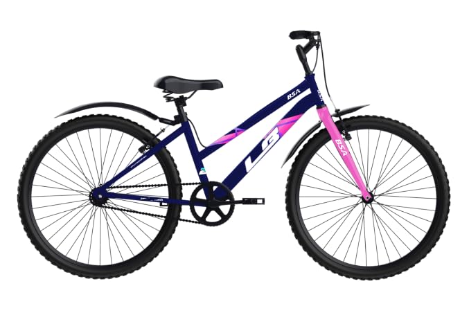 BSA LB Valencia Road Cycle 26T Single Speed 12 Years (B0CXT7SSNT) Amazon Price History, Amazon Price Tracker