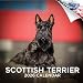 Scottish Terrier Calendar 2019 - Dog Breed Calendar - Wall Calendar 2018-2019