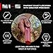 XP Metal Detectors MI-6 Pinpointer, with Wireless connectivity to The Deus II, Deus & ORX Metal detectors, by XP Metal Detectors to be Used by All detectorists (MI-6-AM)
