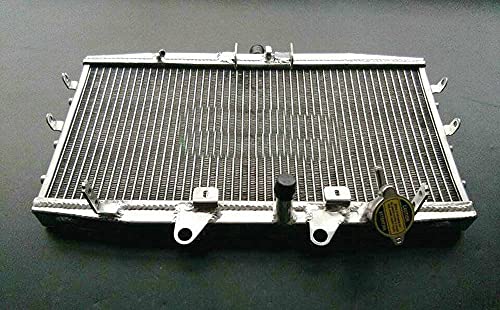 Radiatore in alluminio per Trium-ph Rocket III 3