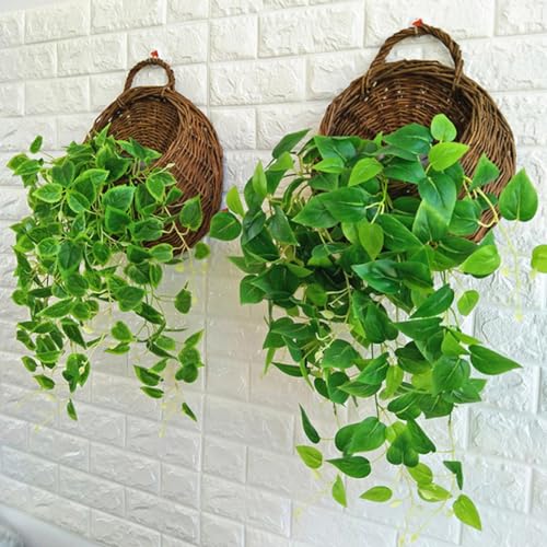 Macetas, Kitchen Imagen adicional