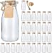 Brajttt 30Pcs Glass Favor Jar with Cork Lids，Pudding Jars with Cork Stopper,Glass Jars with Ice Cream,Glass Yogurt Bottle,Round Milk Glass Jars with Tags and Strings（200 ML,7OZ）
