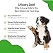 Pet Wellbeing Urinary Gold for Dogs - Vet-Formulated Multi-Herb Urinary Tract Support - Bladder Health & Urinary System Wellness - Natural Dog Supplement - Liquid Formula 2 oz (59ml)