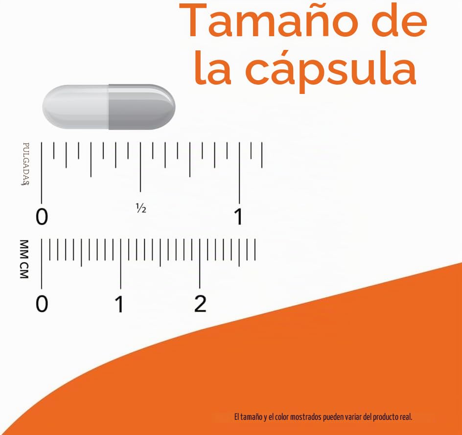Complejo de apoyo nocturno | Fórmula de ayuda para el descanso y el sueño | Cápsulas veganas de 3 mg - 60 unidades