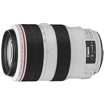 Canon EFレンズ EF70-300mm F4-5.6L IS USM ズームレンズ 望遠