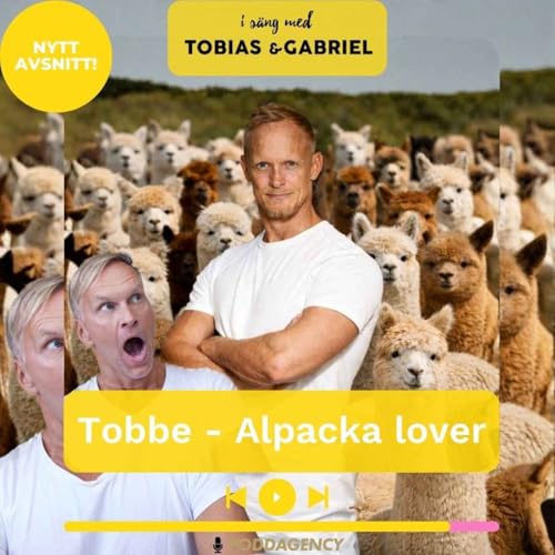 502. Tobbe - Alpacka lover