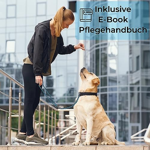 Testnote: Sehr gut - Hundeleine reflektierend I 2m, verstellbar, wetterfest & reißfest bis 250 kg I Paracord Führleine, Umhängeleine I kleine - große Hunde