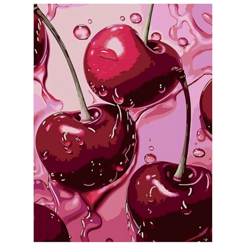 Mandun Cherry Paint by Numbers for Adult, Cherry Paint by Numbers Kit for Adults Beginners, DIY Acrylic Painting on Canvas for Home Wall Art Decor 16x20Inch