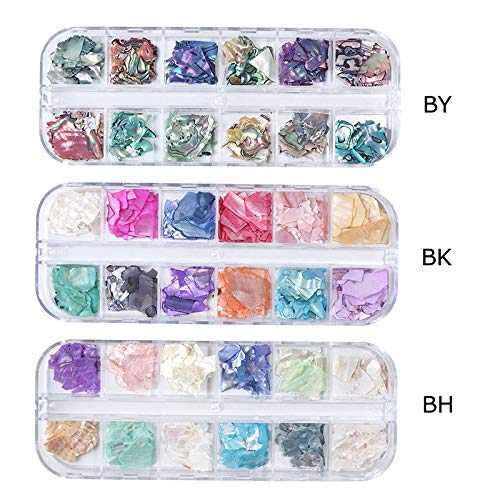 Ocnvlia 3D di Conchiglia Abalone Irregolare