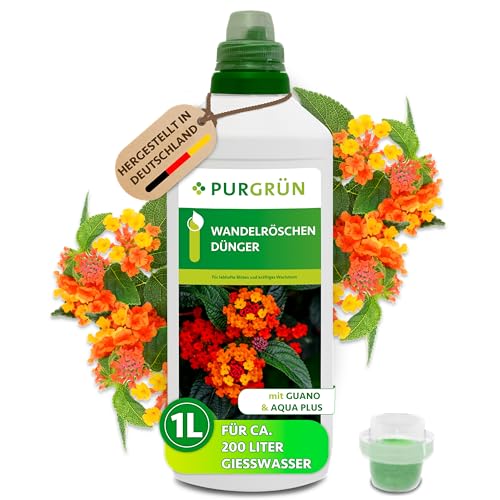 Purgrün® Wandelröschen-Dünger 1 Liter...