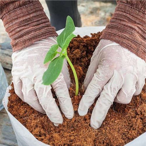Image of SJ Organics Cocopeat Bricks (Pack of 2 x 1kg) - Premium Sterilized Coco Soil for Potting Mix | Enhanced Aeration for Root Growth | Ideal for Balcony Garden & Flower Pots