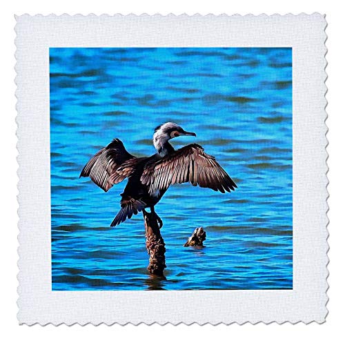 22x22 inch Quilt Square - Cormorant Wings on Blue Water Acrylic Painting - Cormorant
