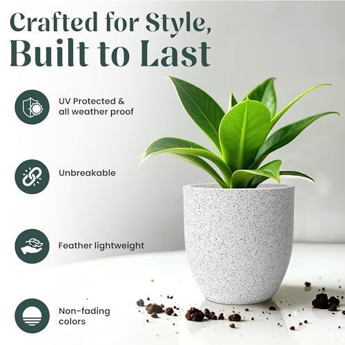 Image of YUCCABE ITALIA FOXB PCUP 10 INCH Pots for Plants Highly Durable Polymers Lightweight Indoor Outdoor Flower Pot Gamla Tree Planter Container Planters for Living Room, Balcony, Garden, Office