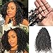 Kinky Curly Crochet Human Hair Extensions Pre-Separated Crochet Hair Multi-Textured Kinky Curly Reusable Micro Twists 18in 120g (Usually 240g Full Head) Natural Black