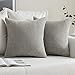MIULEE 2 Piezas Fundas de Cojines Diseño Granulado Fundas de Almohada con Cremallera Invisible Protectores Poliéster Modernos Decorativa para Cama Sofa Dormitorio Hogar 45 x 45cm Gris Claro