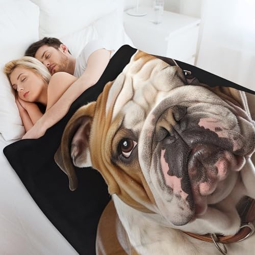 Couverture bouledogue anglais chaude et anti-frissons pour lit et canapé