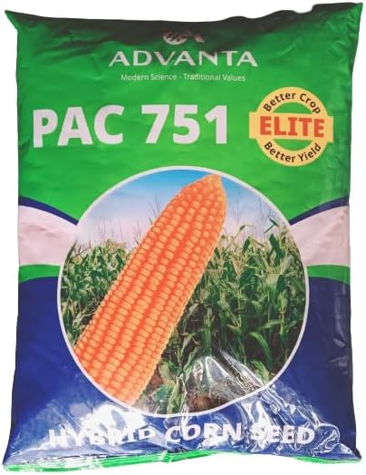 advanta upl hybrid golden PAC 751 SWEETCORN seeds 200 pcs