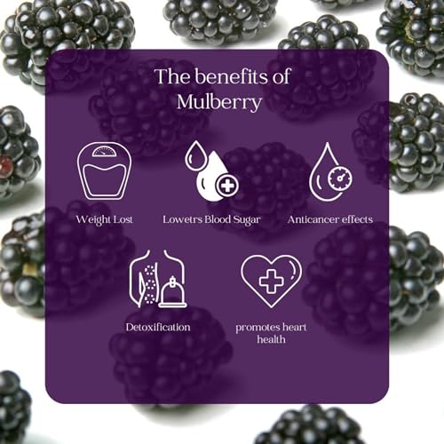 Image of Vistevia Sugar Free Mulberry Jam, Diabetic and Keto Friendly - Sweetened Naturally With Stevia, More Than 60% Mulberry Content - Delicious To Taste, Pack of 1 (400G)