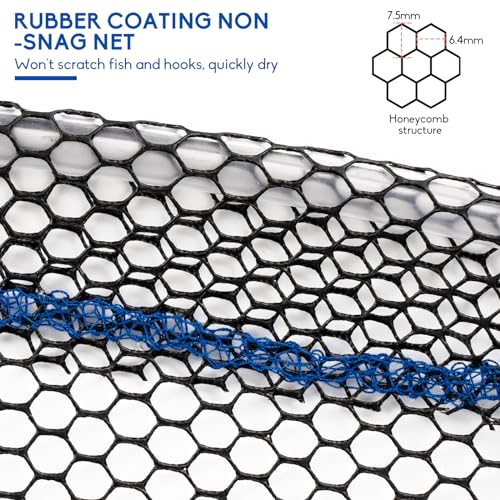 QualyQualy Foldable Fishing Net, Landing Fishing Pier Nets 31"/40" Hoop, Drop Net for Pulling Up Fish with Rope, Portable Bridge Fishing Net for Minnows, Crawfish, Shrimp - Image 4