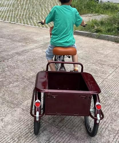 Triciclo Paseo para Adultos con Cabin, 3 Ruedas miniatura 4